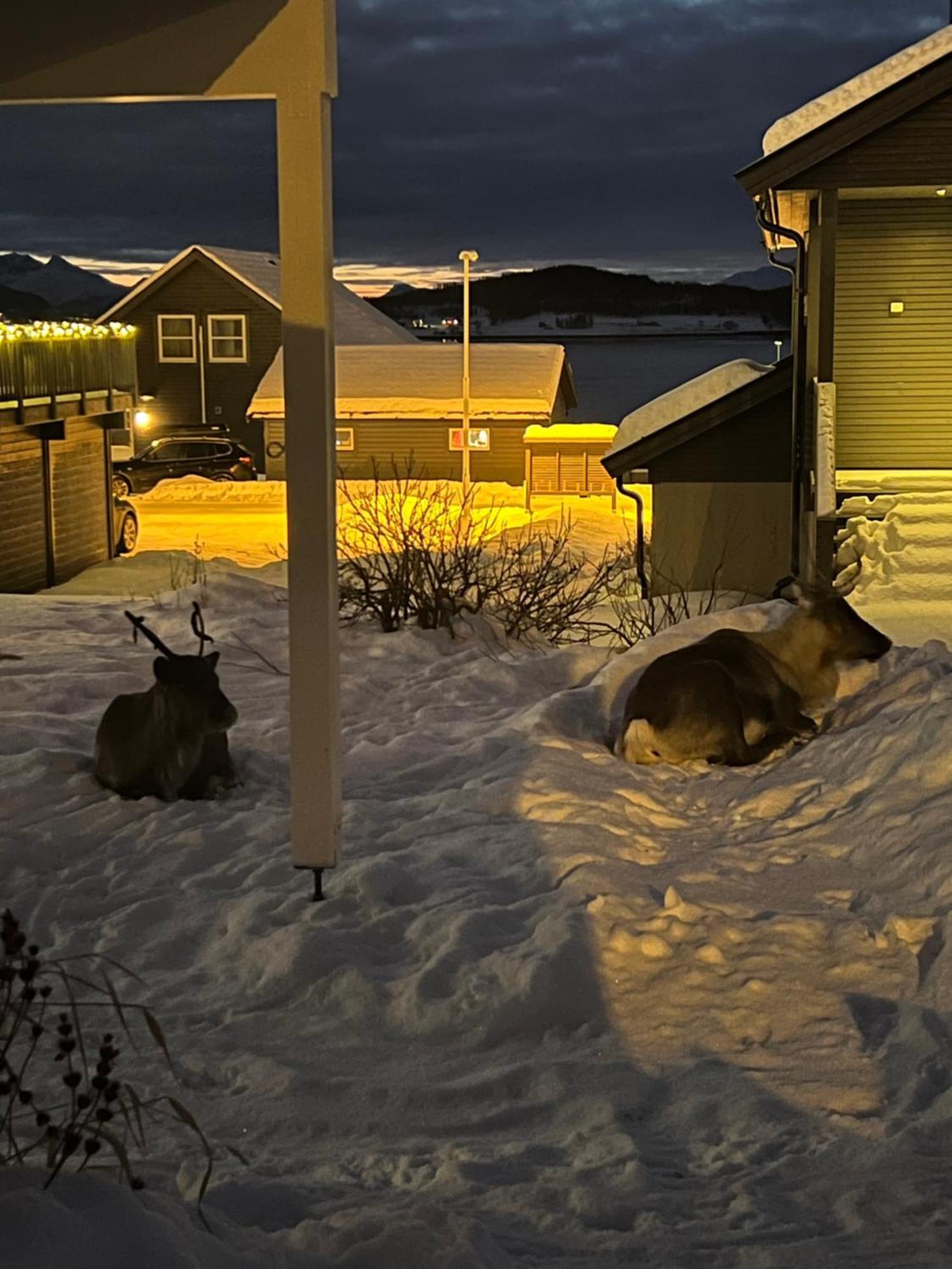 And Warm With Free Parking Tromso
